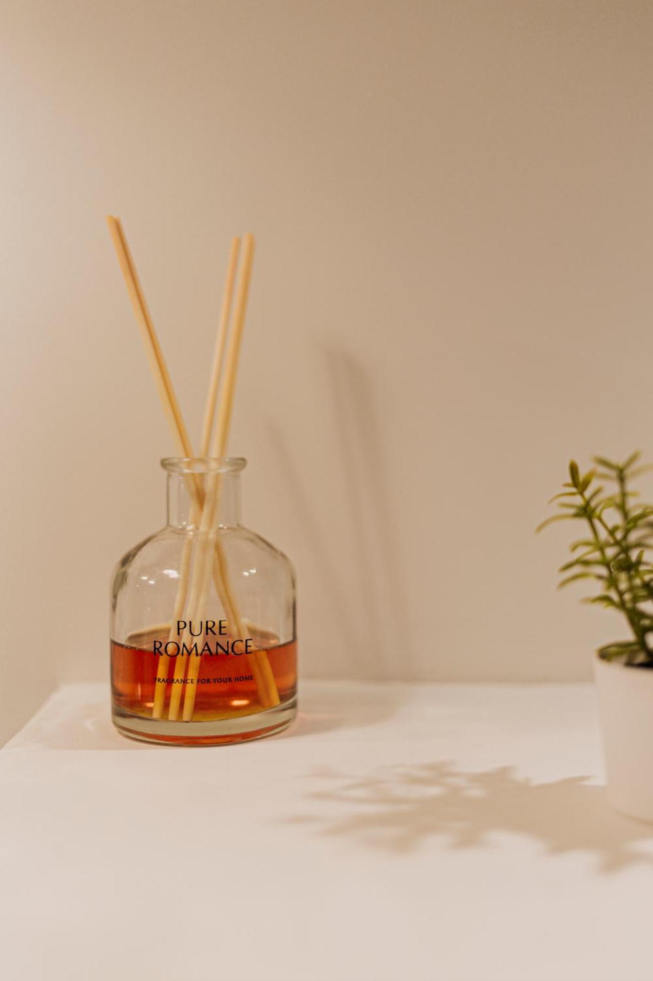 Loge Du Pre Carre - Hypercentre Apartment Annecy Ngoại thất bức ảnh
