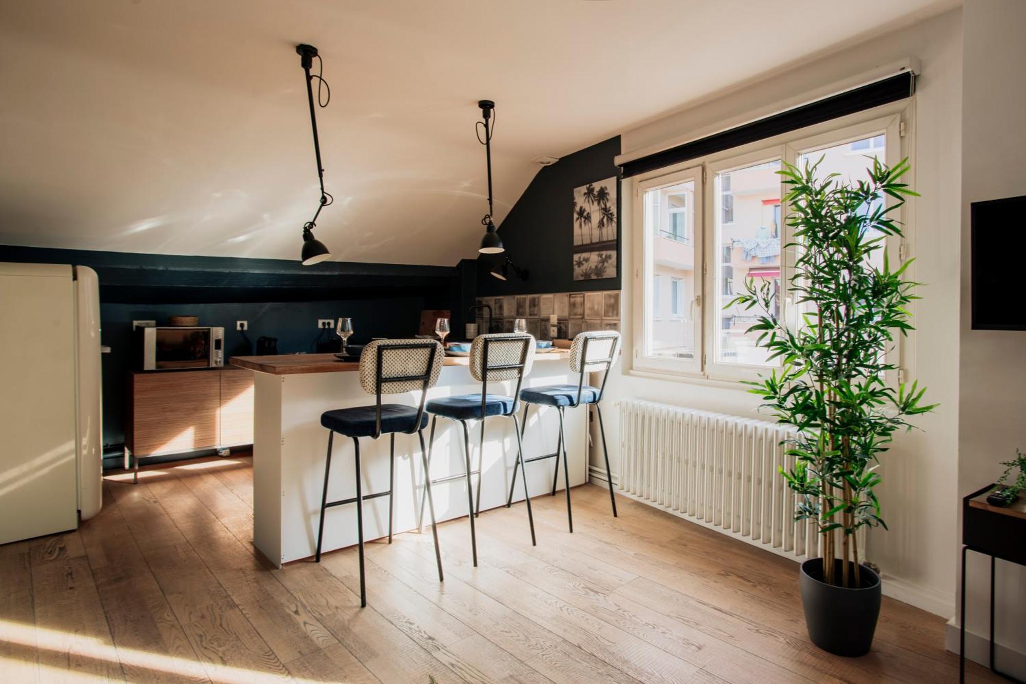 Loge Du Pre Carre - Hypercentre Apartment Annecy Ngoại thất bức ảnh